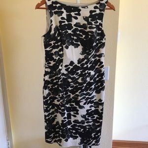Ann Taylor Dress